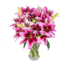 Lilienstrauß in Pink