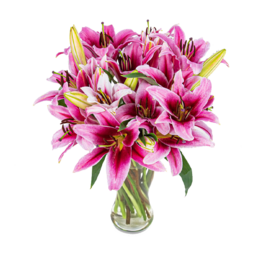 Pink Lily Bouquet