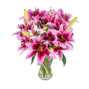 Pink Lily Bouquet