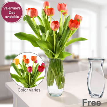 Tulip Offer with Vase Tulip Offer with Vase