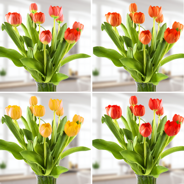 freshly tied Tulip Offer with Vase