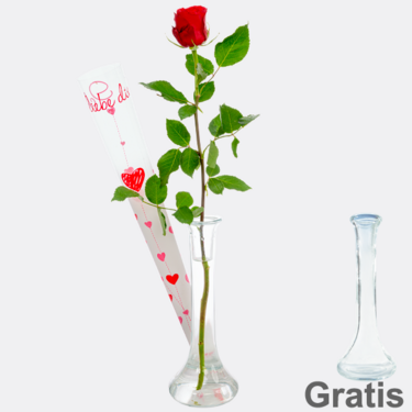 Rote, langstielige Rose in Köcher mit Herzen "Ich liebe Dich" mit Vase
