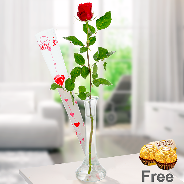 Red long-stemmed rose in gift box with vase & 2 Ferrero Rocher