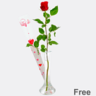 Red long-stemmed rose in gift box with vase
