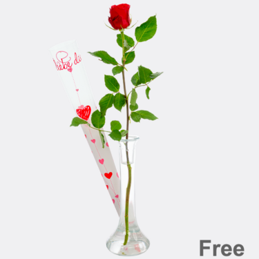 Red long-stemmed rose in gift box with vase Red long-stemmed rose in gift box with vase