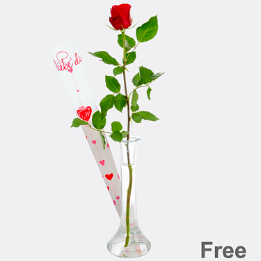 Red long-stemmed rose in gift box with vase