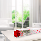 Rote, langstielige Rose in Köcher mit Herzen "Ich liebe Dich" mit Vase