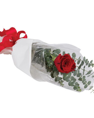 THE ONE AND ONLY Bouquet of red roses