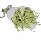 Blumenarrangement Harmonie