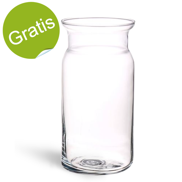 Glasvase Pia