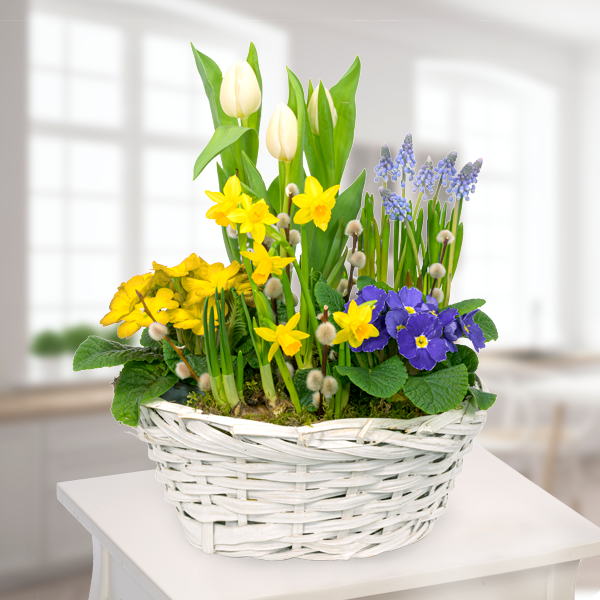 Frühlingsgrüße im Körbchen