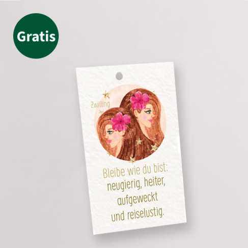 Sternzeichen-Blumenstrauß Zwilling mit Vase & Blumenstecker