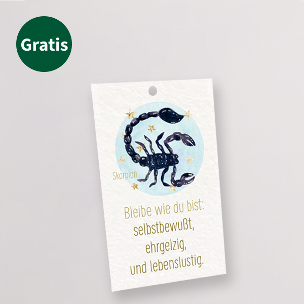 Sternzeichen-Blumenstrauß Skorpion mit Vase & Blumenstecker