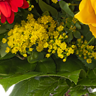 Sternzeichen-Blumenstrauß „Waage“ mit Vase & Ferrero Raffaello & Sternzeichen-Blumenstecker "Waage"