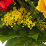 Sternzeichen-Blumenstrauß Stier mit Vase & Blumenstecker