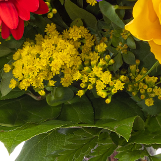 Zodia Sign Flower Bouquet Sagittarius with vase & Zodiac Sign Flowercard