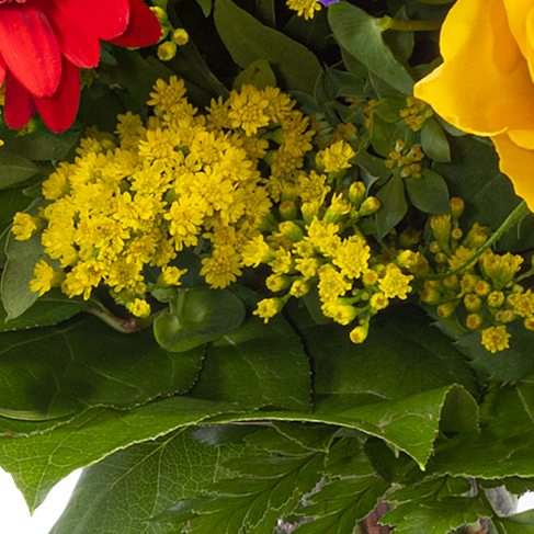 Sternzeichen-Blumenstrauß Stier mit Vase & Blumenstecker
