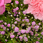 Flower Bouquet Zarte Grüße with vase
