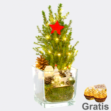 Weihnachtsstimmung Weihnachtsbaum Weihnachtsstimmung mit Lichterkette & mit 2 Ferrero Rocher