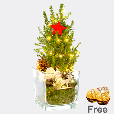 X-Mas Tree Weihnachtsstimmung with X-Mas lights & with 2 Ferrero Rocher