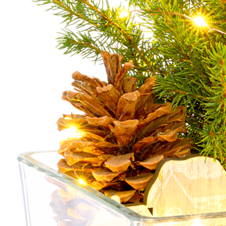 X-Mas Tree Weihnachtsstimmung with X-Mas lights & with 3 Ferrero Giotto