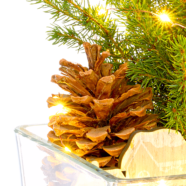 Weihnachtsbaum Weihnachtsstimmung mit Lichterkette & mit Ferrero Giotto 3er