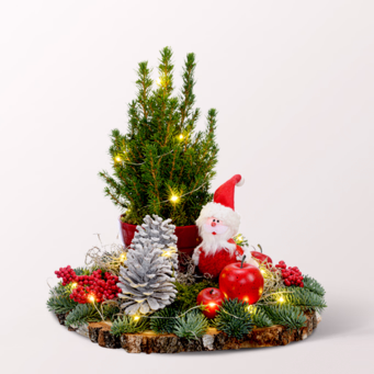 Arrangement Santa mit Lichterkette & mit Halloren Kugeln