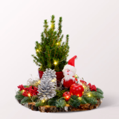 Arrangement Santa with X-Mas lights & with 3 Ferrero Giotto