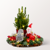 Arrangement Santa with X-Mas lights & with 3 Ferrero Giotto