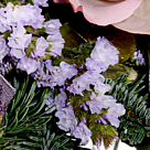 Blumenstrauß Wintergedicht mit Vase & 2 Ferrero Rocher