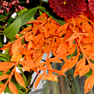 Blumenstrauß Winterfeuer mit Vase & 2 Ferrero Rocher
