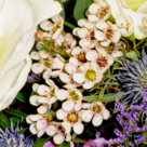Premium Bouquet Winterhauch with premium vase & 2 Ferrero Rocher