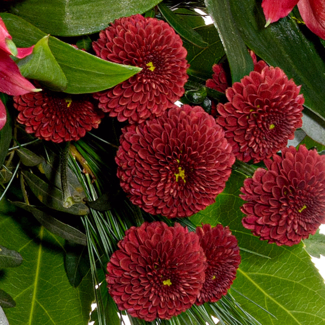 Premiumstrauß Weihnachtsromanze mit Premiumvase & Ferrero Giotto 3er