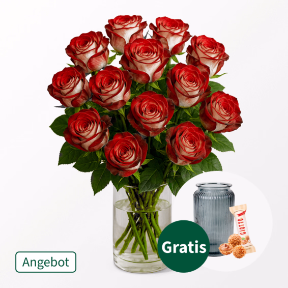 15 rot-weiße Premium-Weihnachtsrosen im Bund mit Premiumvase & Ferrero Giotto 3er