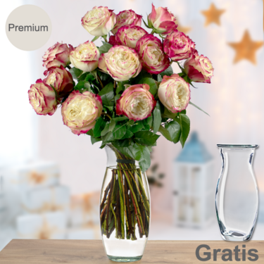 frisch gebunden 15 rot-weiße Premium-Weihnachtsrosen im Bund mit Vase