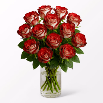 Bunch of 15 Red-White Premium Christmas Roses with Premium Vase & 3 Ferrero Giotto