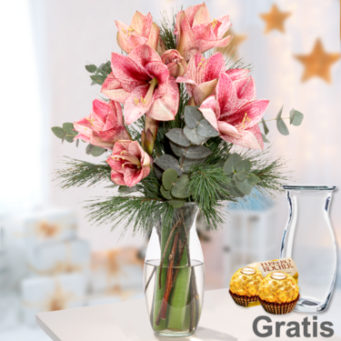 frisch gebunden 3 rot-weiße Amaryllis im Bund mit Vase & 2 Ferrero Rocher
