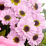 Flower Bouquet Freude with vase