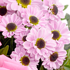 Blumenstrauß Freude mit Vase & 2 Ferrero Rocher
