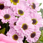 Flower Bouquet Freude with vase
