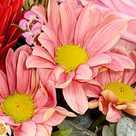 Blumenarrangement Danke mit 2 Ferrero Rocher