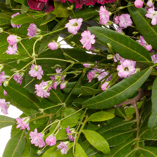 Blumenstrauß Blütenkuss mit Vase & Ferrero Giotto 3er