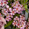 Premium Bouquet Traumhaft with Premium Vase & 3 Ferrero Giotto
