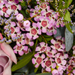 Premium Bouquet Traumhaft with Premium Vase & 3 Ferrero Giotto