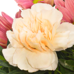 Blumenstrauß Frühlingsmorgen mit Vase & Ferrero Giotto 3er