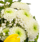 Flower Bouquet Sonnentag with vase & 2 Ferrero Rocher