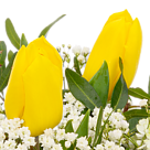 Blumenstrauß Sonnentag mit Vase & 2 Ferrero Rocher