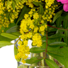 Blumenstrauß Blütenromanze mit Vase & 2 Ferrero Rocher