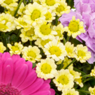 Blumenstrauß Blütenromanze mit Vase & 2 Ferrero Rocher