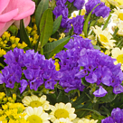 Blumenstrauß Frühlingsgruß mit Vase & 2 Ferrero Rocher